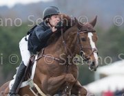 Clayton Mr Darcy TosTour 2013- S5 7265 : Arezzo Equestrian Centre, Clayton Joseph, Mr Darcy, Toscana Tour 2013, foto di Stefano Secchi ©